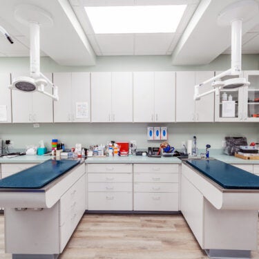 Home Davie Construction